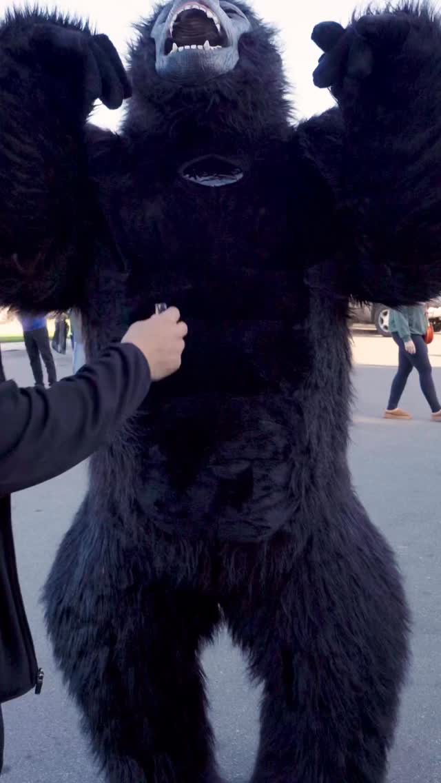 See why everyone’s talking about The Vinery Kitchen👏
📍 3976 Pelham St, Dearborn Heights, MI
☎️+1 (313) 562-2880
⏰ Open 7 Days