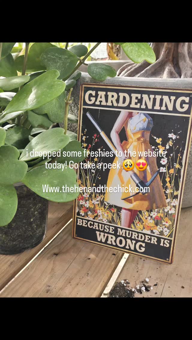 i dropped some freshies to the website today! Go take a peek 🥹😍
#thehenandthechick #smallbusiness #smallfarm #greenhouse #plants #plantsofinstagram #tropicalplants