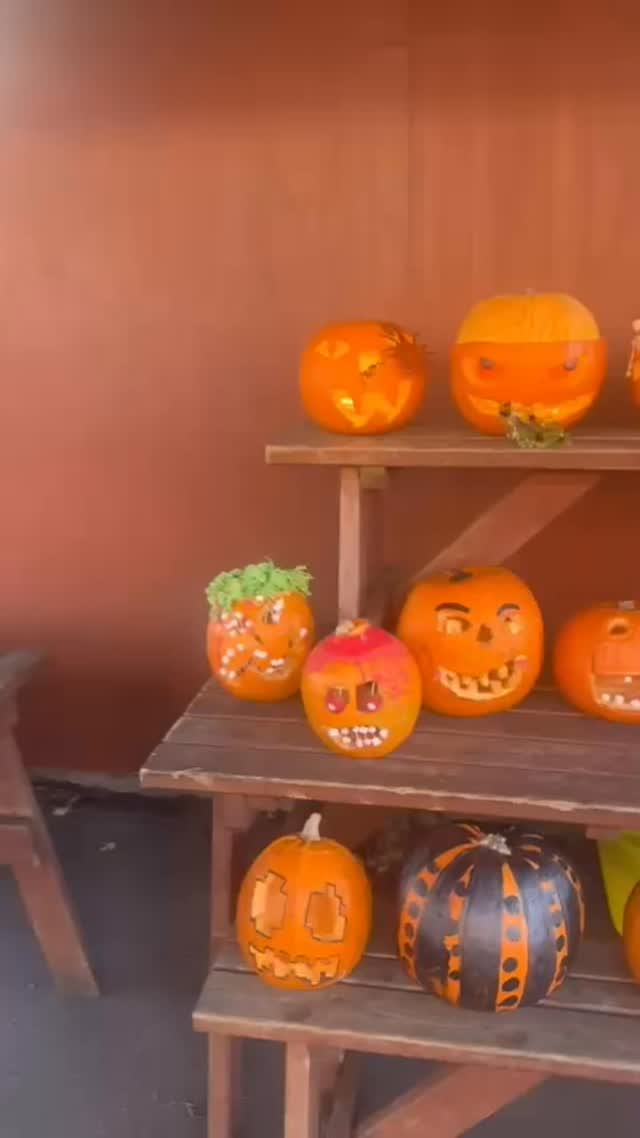 🎃 Check out these amazing pumpkin creations from our Foulds students!
Judging takes place today, and winners will be announced throughout the day — but honestly, everyone’s a winner. They’re all brilliant! 👻💛💚