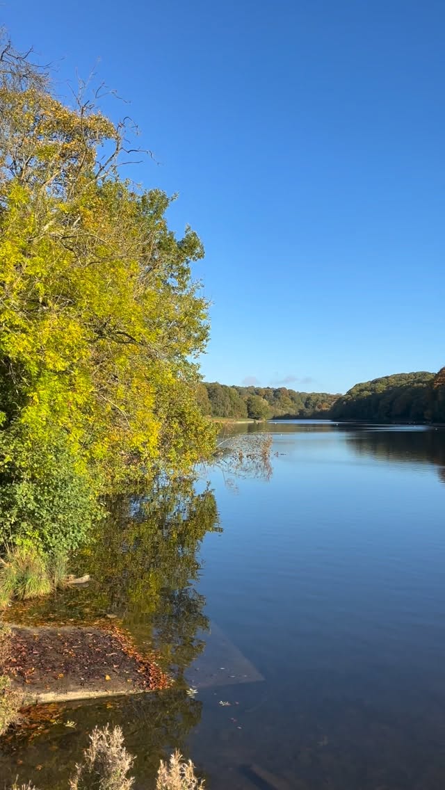 ✨ The Women’s Wellness MOT ✨
Tired? Achy? Bloated?
Fed up of the same meals?
Want a body reset?
DM ‘MOT’ to enquire, or visit the website drmgmnutrition.com
🌿 1:1 bespoke consultation
🌿 Review of completed wellness questionnaire
🌿 Tailored recommendations
🌿 Taster recipes
✨ You deserve it ✨
Warm wishes
Dr Grace 🌿
#WomensNutrition
#HolisticWellness
#NourishToThrive
#BalancedBodyBalancedMind
#HormoneHealth
#GutHealth
#WomensHealth