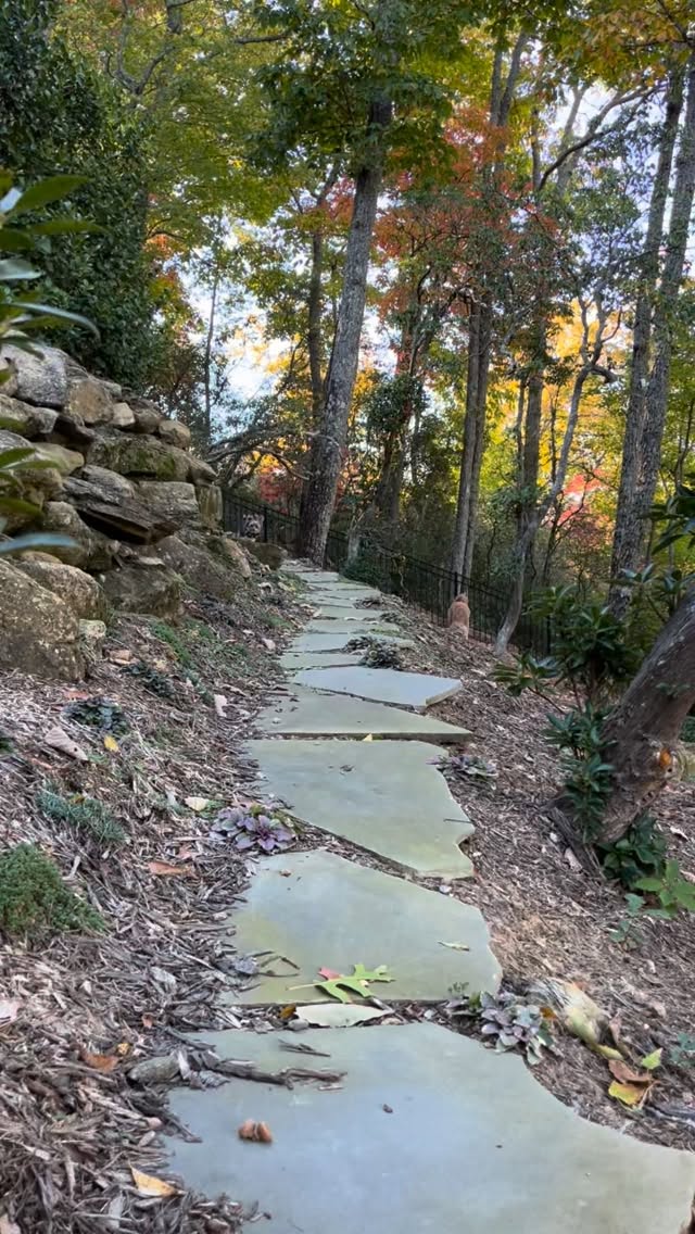 Just another gorgeous Autumn morning!
#petsitter #asheville #dogsitter #doodle #yorkie #autumn