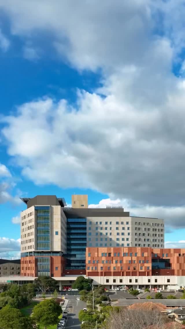 Minister for Health Infrastructure Melissa Horne, Local Member for Frankston @pauledbrookemp MP and Upper House Member for the South-Eastern Metropolitan Region Michael Galea MP, joined Chase and Luna to cross the new pedestrian crossing on Yuille Street and help plant garden beds outside the main entrance of the new $1.1 billion redevelopment of Frankston Hospital.
#victorianhealthbuildingauthority
#growingmindsguidingheartsandmakingadifference
#melbournecatholicschools
#frankstoncity
#frankstonschools
#sfxschoolfrankston