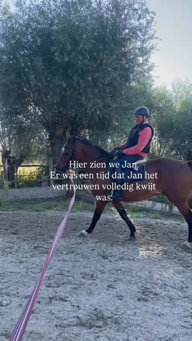 Be like Jan! 🐎
Contacteer ons vandaag nog voor een coachingsessie, training of begeleiding van jouw paard!
✨“Don’t ignore your own potential!” ✨
#mbequitalents #horsereflectedcoach #horsebackriding #horsebackridinglessons #paardrijlessen #jumping #vertrouwen #dressuur #motivatie #eigenpotentieel #horses #paardencoaching #coaching