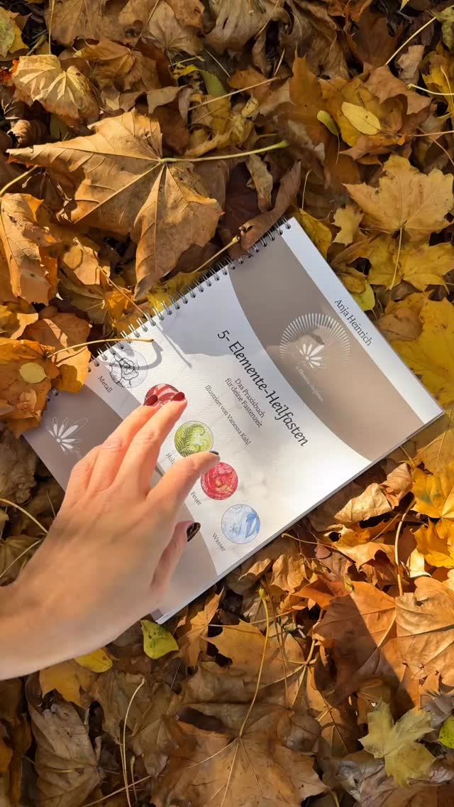 🍁Gereinigt in den Herbst – mit der Kraft der fünf Elemente🍂
Wenn die Natur loslässt, ist auch für uns die Zeit gekommen, Ballast abzuwerfen.
Das 5-Elemente-Heilfasten nach Anja Heinrich verbindet die uralte Lehre der fünf Elemente – Holz, Feuer, Erde, Metall und Wasser – mit der reinigenden Kraft des Fastens.
Jedes Element steht für Energie, Bewegung und Lebensrhythmus.
Durch ausgewählte Nahrungsmittel, Wildkräuter-Tees, Atemübungen und Achtsamkeit findest du Schritt für Schritt zurück in Balance – körperlich, geistig und emotional.
🕯Entdecke, wie du deinen Körper sanft entlastest, deinen Energiefluss aktivierst und dich auf das Wesentliche besinnst.
Ein Buch, das nicht nur inspiriert, sondern dich begleitet – auf deinem Weg zu mehr Leichtigkeit, Klarheit und innerer Ruhe.
Das Buch ist u.a. bei amazon, Hugendubel und Thalia verfügbar.
#5elementeheilfasten
#heilfasten
#fasten
