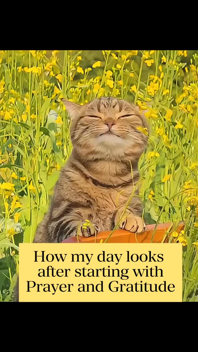 #catholicmemes #faithwithhumor #surrendertogod #trustingod #godsplan #faithoverfear #holyspirit #godisincontrol #surrendertogod #walkbyfaith #faithjourney #letgoletgod