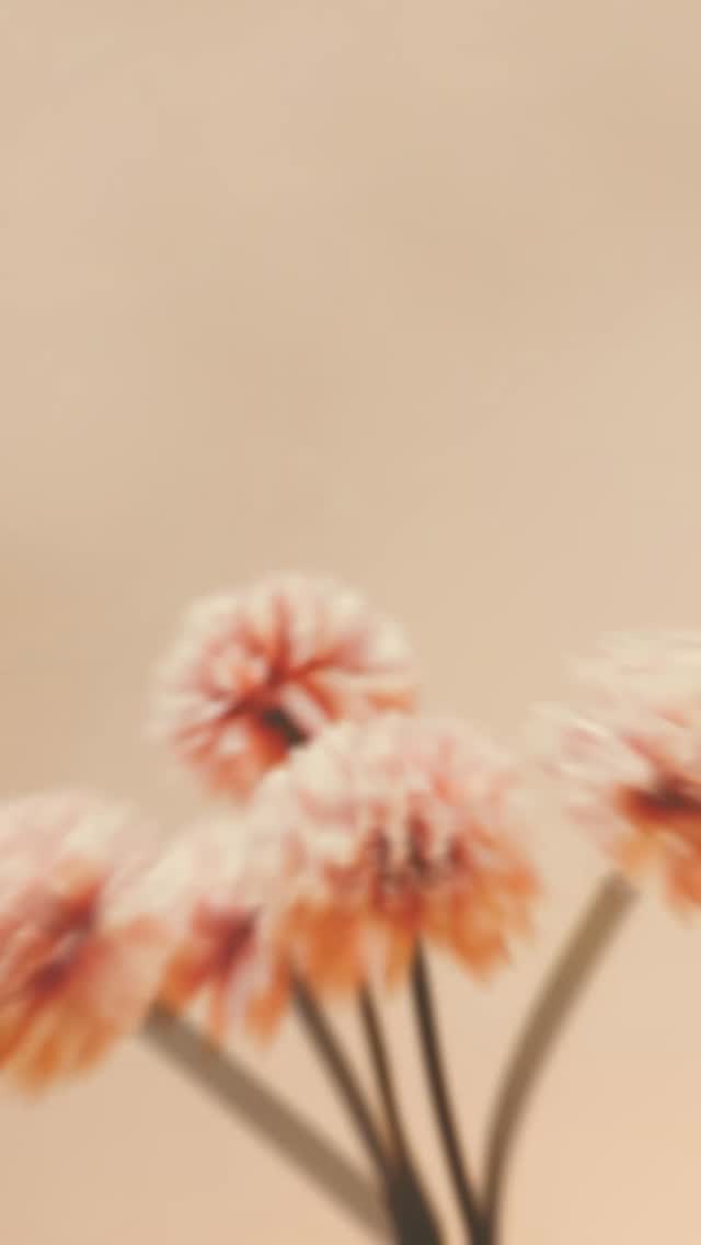 The essence of this Cappadocia is poetry, woven into the stone and the texture of the earth. Here, ancient heritage is felt in the dust and discovered in the quiet grace of every bloom.
#avantgarderefined #urgup #cappadocia