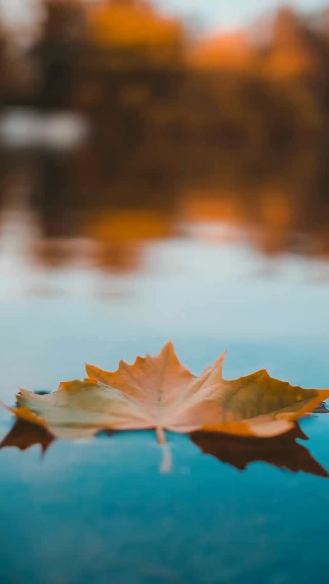 Was dich erwartet:
🌿 Achtsame Naturübungen & geführte Meditation im Wald
🍁 Kreativer Moment mit Herbstblättern (Gestalten, Reflektieren, Loslassen)
💭 Mentalübungen zur Entspannung und Stressreduktion
☕ Warmer Tee & Austausch in kleiner, achtsamer Runde
👥 Max. 8 Teilnehmer:innen – für eine persönliche und ruhige Atmosphäre
1 Freier Platz ✅
📍 Salzburg / Leopoldskron
🗓️ Oktober
Lass den Alltag hinter dir und gönn dir diese kleine Auszeit im goldenen Licht des Herbstes. 🍂✨
#waldbaden #achtsamkeit #herbstzauber #mentaltraining #naturcoaching #selfcare