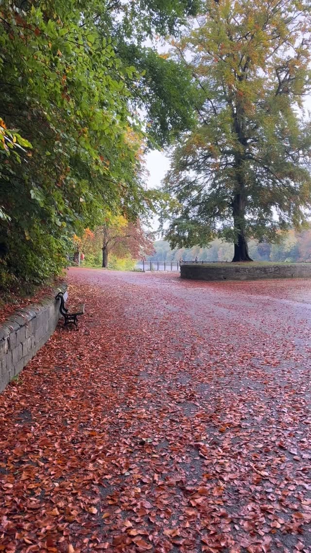 ✨ Let’s talk about weight-loss injections — and what really makes results last. ✨
Medications like Mounjaro or Ozempic can support weight management for some people — but they’re not a quick fix.
The real transformation happens in the everyday consistent habits: nourishing meals, consistent movement, quality sleep, and stress management.
If you’re considering injections, work with your GP or accredited health professional— and make sure you also have a comprehensive nutrition and lifestyle plan to support long-term success.
🫶🏻 Sustainable change starts with daily choices.
Warmest wishes, Dr Grace 🌿
#NutritionistTips #WeightLossJourney #HealthyHabits #GLP1 #Semaglutide #mounjaro #Ozempic #BalancedWellness #MindfulEating #SustainableHealth