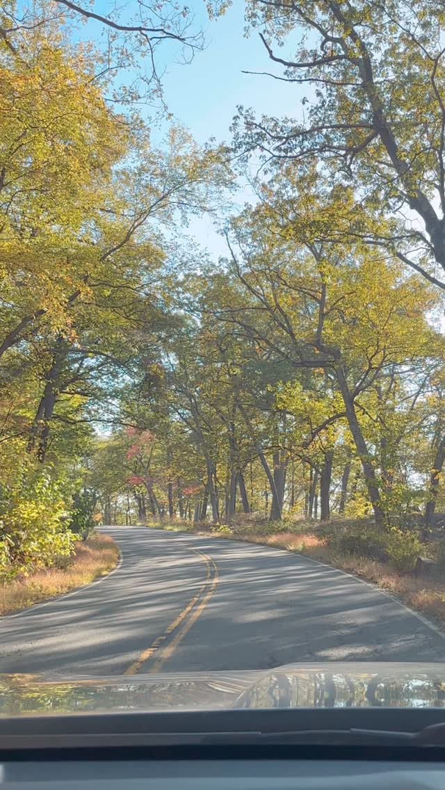 Excerpt from Waiting & Dating š
Some reflections on one of my favorite verses:
āDelight yourself also in the Lord, And He shall give you the desires of your heart.ā
āā(Psalms⬠ā37ā¬:ā4ā¬)