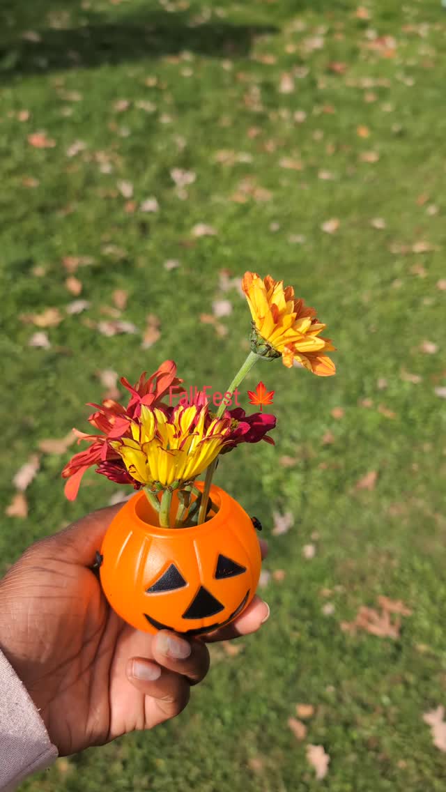 And that's a wrap! The normal season of Canton Farmers Market is over but you can catch us at the Harvest Fest on Sunday, November 23rd. Pre-orders are encouraged!
