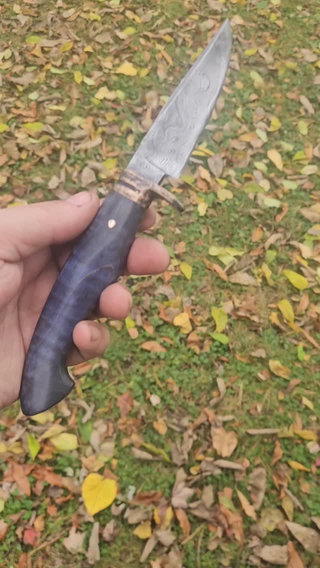 All buttoned up, now for the sheath and she's ready for a lifetime of use. This smaller hunter has a lovely 320 layer damascus blade with bronze guard and pin. The handle is some lovely stabilized curly maple. What do you think?
