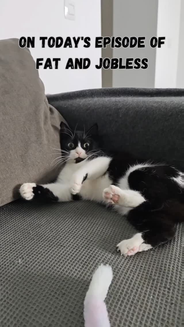 On today's episode of Fat and Jobless : presenting Loulou
We love you Louloudaki 🩷🩷