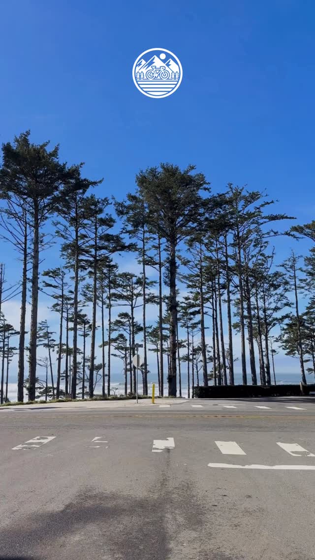 Pro tip: book e-bikes, pack snacks, follow the ocean. You’re welcome. ☺️
#pnwadventures #pnwlife #seabrookwa
#washingtoncoast #pnwonderland