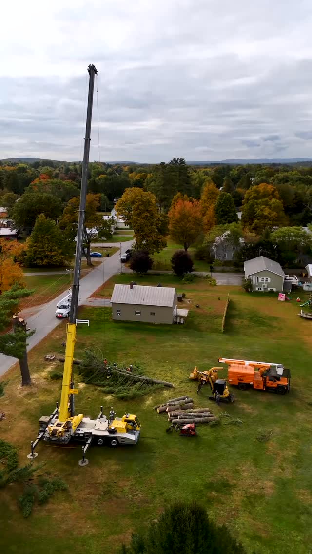 We’re growing, and growing fast! Which means we need as many talented hands on deck as we can get.
Come join the Belanger Tree crew and branch out into a new career full of opportunities 🌲
The ideal applicant will be a team player and preference will be given to CDL operators or those with a willingness to get their license. Bucket truck operator experience also a plus.
Apply at the link in our bio!