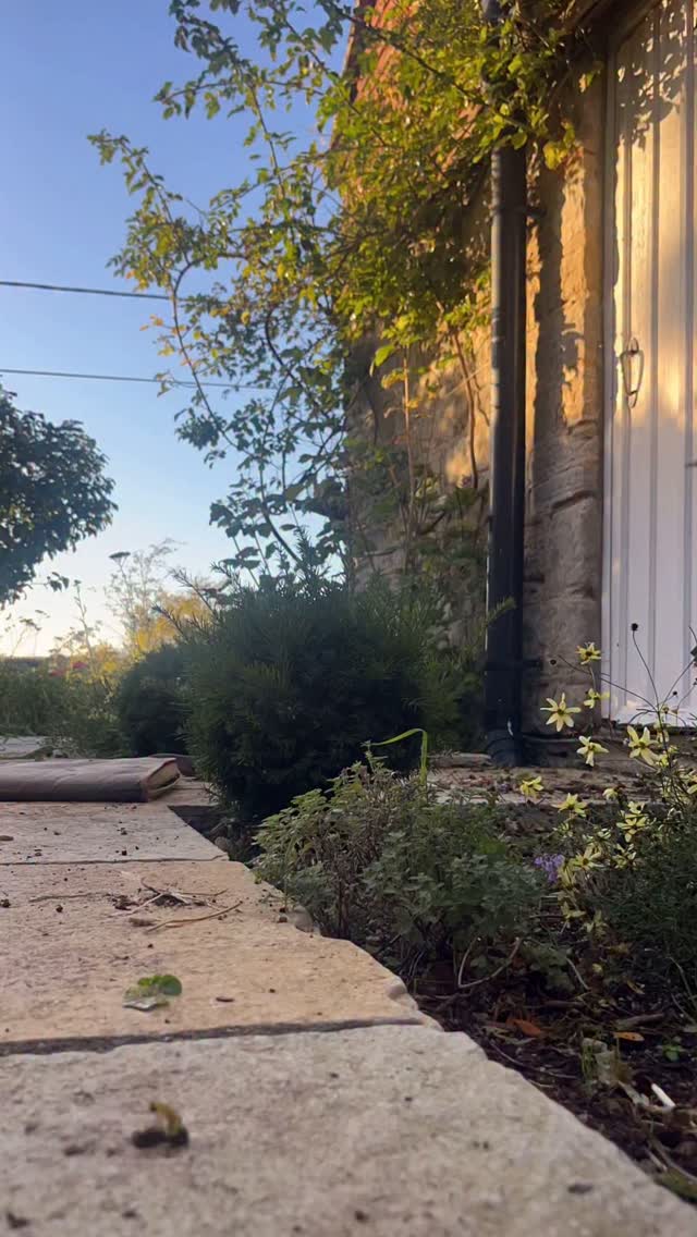 There are lots of reasons why autistic children might find school hard. But one of the big ones? There is not enough opportunity for monotropic flow.
Monotropic flow is the tendency to experience deep, focused engagement in activities.
If you haven’t spent time in a school recently, it might be hard for you to imagine how many demands there are on a child’s time. Every day is carved up into a multitude of micro transitions. There is little or no opportunity for a child to immerse themselves fully in a subject. All too often children don’t have the satisfaction of completing a task, especially if they have SEND and might need more time to process information, plan and organise a task, or get ideas down on paper. The result? Constant feelings of stress, anxiety or dissatisfaction.
This isn’t just my opinion. A 2021 study into flow states at work and during study found that experiencing flow can buffer against work-related stress and enhance daily life satisfaction. A large 2024 longitudinal twin study found that individuals who experience more monotropic flow had a significantly lower risk of developing depression (16% reduction) and anxiety (16% reduction).
Of course, other factors play a part. Sensory overwhelm, lack of support, bullying and victimisation all contribute to school distress and anxiety. But for anyone who wants to understand more about why this issue has increased significantly in recent years, learning about monotropism is a good place to start.
What factors would you like to add? Let me know in the comments…
Lucy Pollard Therapies
(References below 👇🏻)