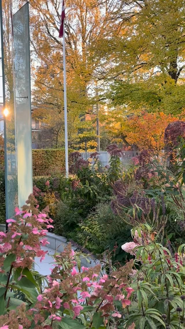 Calm. Golden. Magical.
As light softens, the garden turns to art
—
a tranquil October moment at the OLA Foundation Garden.
