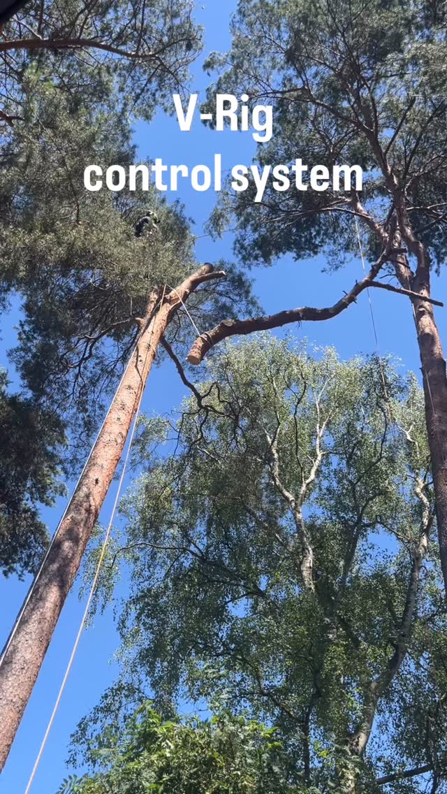 Safe and controlled removal of a storm-damaged using a V-Rig control system.
Super handy when you need to control the load without it swinging around, especially when lowering big pieces.
In this system, we use two lines, each with a pulley at the top of the tree and a Port-A-Rap on the ground. ⚙️🌲
#treecare #roperunner #treework #arborist #stormdamage #teufelberger #dmm #baumpflege #arblife