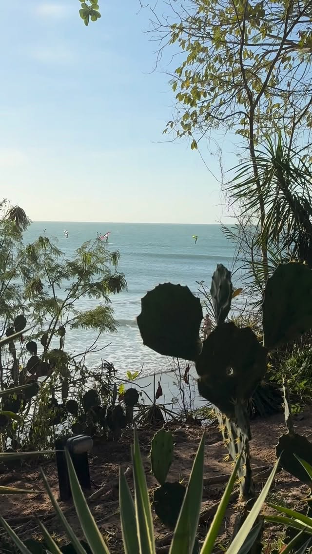Sunset Session in Jeri 🌺👌🏽
#wingfoil #wingfoilberlin #wingfoilbrandenburg #wingfoillernen #wingfoillessons #wingfoiltenerife #wingfoilschool #wateradventures #progress #wingfoilcamp #wingfoilostsee #ktfoiling #vayuwings #jeri #downwinder #downwinderbrazil #wingfoiljeri #jericoacora