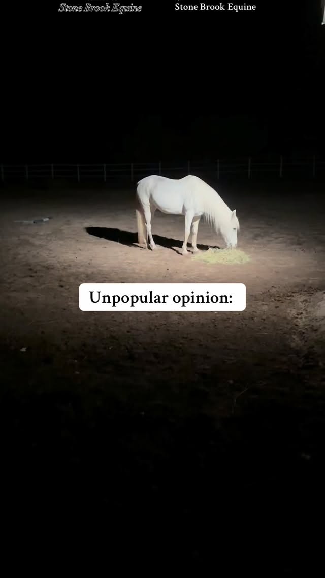 And before you clutch your pearls — let’s talk about why.
Stall rest may reduce movement, but it also reduces circulation — the one thing the laminitic hoof desperately needs to heal.
When a horse stands still, blood flow stagnates.
The hooves don’t get oxygen.
Inflammation builds.
And the tissues we’re trying to protect end up suffocating from the inside out.
Movement — the right kind — is medicine.
Gentle, supported motion increases circulation and flushes toxins. But this only works if the body is balanced enough to move correctly.
That’s where whole-body care comes in:
🌿 Massage releases the upper body tension that shifts weight unevenly onto the front feet.
🌿 Acupressure stimulates points that enhance blood flow, reduce inflammation, and support metabolic balance.
🏇 Controlled Rehab Exercises (even slow, deliberate movement in hand) keep the body aligned and the hooves perfused — without overloading compromised laminae.
Laminitis is never just a hoof issue — it’s a full-body imbalance.
Healing comes from restoring function through the whole system, not locking it in a stall and hoping for the best.
✨ Inside my Online Equine Bodywork Academy, I teach you how to understand the body behind the hoof — how massage, acupressure, and movement therapy can support circulation, balance, and recovery from the inside out.
Because standing still has never healed anyone.
Movement — guided, mindful, intentional — does.
🎓 Learn how inside the Stone Brook Academy
#laminitis #horse #equine #holistichealing #healer