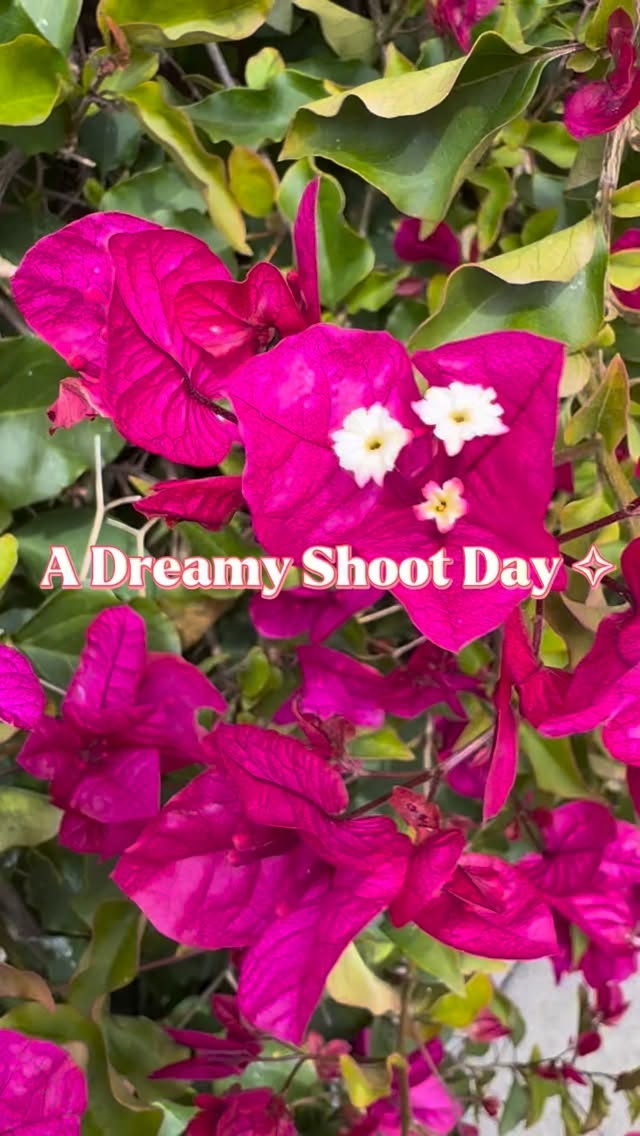 A day in the life of a creative ~ This is a glimpse of our shoot days here @ Shoppe Dreamy. The day started with locations in the Mission, then we moved to Bernal Heights and the Dogpatch. Stopped at a super cute bakery for treats, shot some more along the Embarcadero and finished the day with some delicious Japanese Ramen in Japantown.
Taking care of our talented model @wakaneluke , photographer @cat.scans_ and staff (my fiancé and I)
Other artists featured along our travels:
@planetofthetreez
@atomiko
@jokrae415
@ian_the_meow
@butter_and
@magtotoart
#shoppedreamy #smallfashionbrand #photogrpahy #behindthescenesfun #atomico #planttrees #citygraffiti #bayarea #sanfranciscobay #sanfrancisco #missiondistrictsf #sustainablefashionbrand #cityadventures