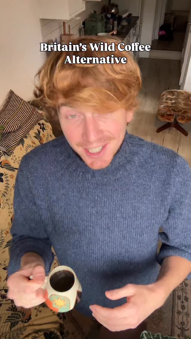 Do you think of dandelions as a weed?
I used to, but now I use their leaves sautéd with butter and garlic, their flowers for a vegan honey alternative and their roots for this wonderful coffee substitute that is caffeine free but super good for you. Dandelion (Taraxacum officinale) is by no means a weed!
#dandelion #coffeesubstitute #caffeinefree #wildfood #foragedfood #autumnmood #pissenlit