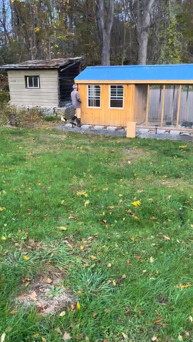 Friends, the shop is CLOSED this weekend — due to a memorial for a family member and other family (and friend) priorities.
Check this space this week for our special holiday hours through December.
Until then, enjoy this moment of pure giggly joy from our Tiny Treehorn as the “ladies” rush out — all feathers and energy — to go munch down on bugs in the field. (Sound on!!)
Thanks for your understanding!
—Melissa and Mark
#flowerfarm
#hudsonvalley
#treehornfarm
#flowerfarmer
#flowersandbooks