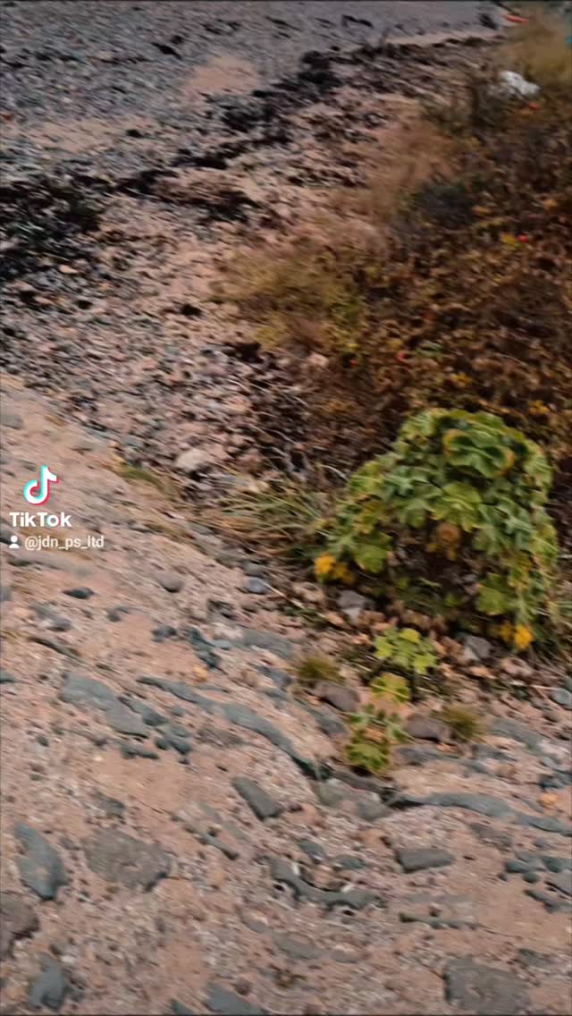 Sometimes the best part of the job is the journey to it.
A damp survey last week with a bit of sea air and sand underfoot – not your usual commute, but we'll take it!
Scottish Mainland, Scottish Isles, you call, we'll be there!
#DampSurvey #BuildingPreservation #JDNPropertyServices #ScottishCoast