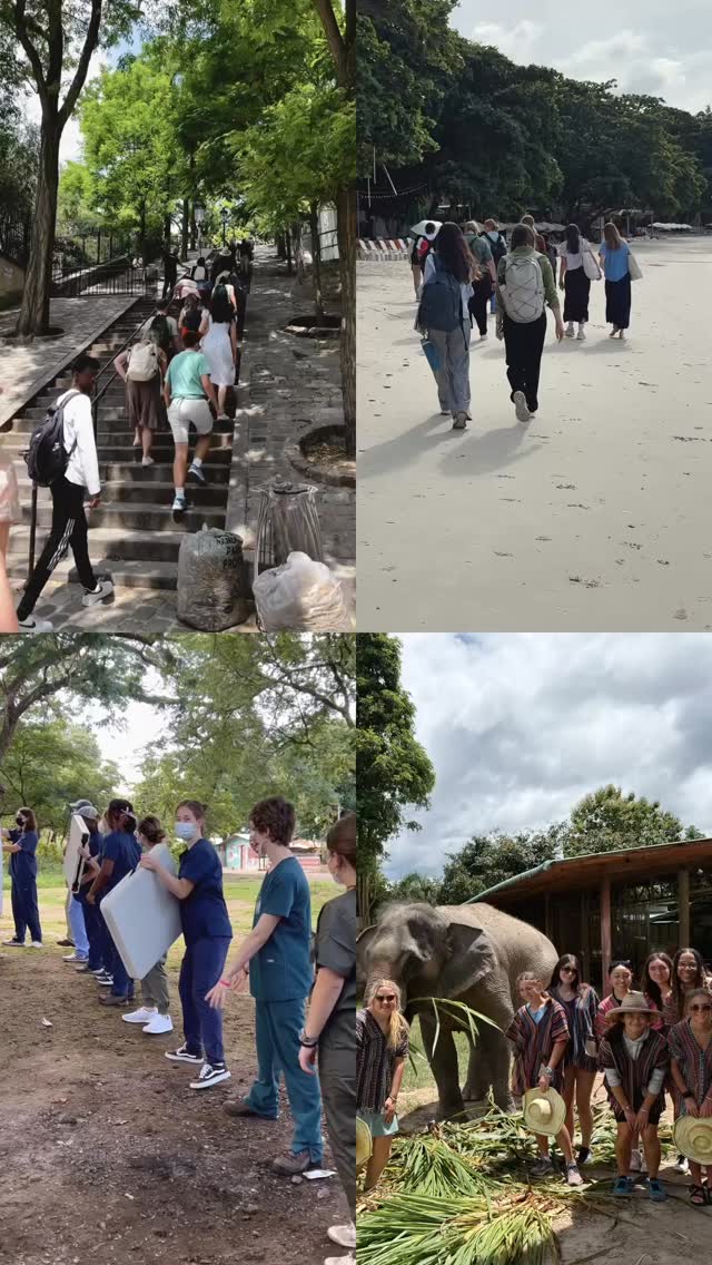 This reel from my past student trips is youth confidence in action, laughter, growth, and those unforgettable moments where teens realize just how capable they really are. #YouthConfidenceDay
#myrooftopstories #youthtravel