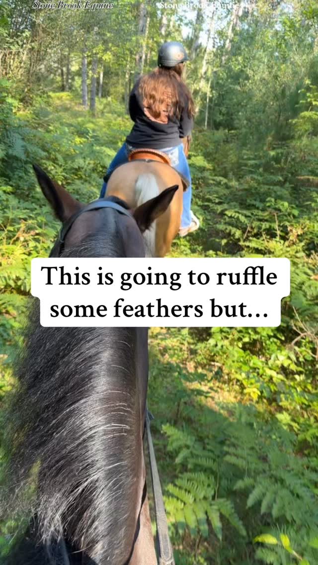 A sore back doesn’t need more work — it needs release.
Because tight, overworked muscles can’t build strength — they just build compensation.
💫 Massage melts the restriction.
🌿 Acupressure restores balance.
🏇 Long & low rebuilds movement the right way.
This is how you turn a sore back into a strong one — not by riding harder, but by listening smarter.
✨ Learn how inside my Online Equine Bodywork Academy → Stone Brook Academy
Your horse doesn’t need more miles. They need your understanding.
#communication #acupressure #acupuncture #energyhealing #energy