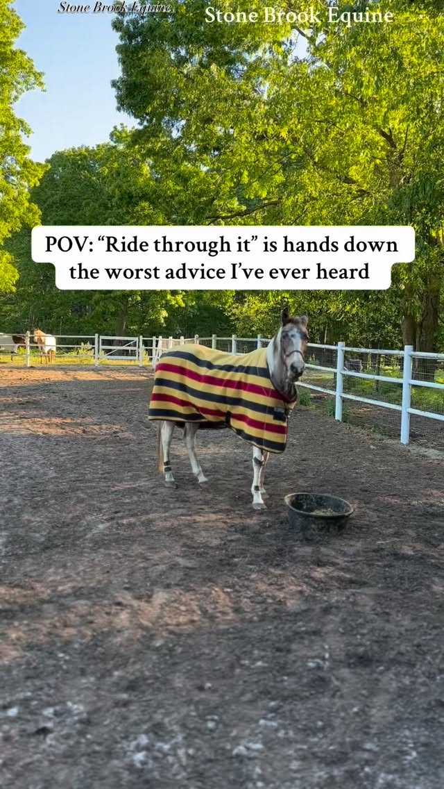 🐴 “Ride through it.”
Possibly the worst advice I’ve ever heard.
Because when your horse is bracing, hollow, tripping, or resisting — they’re not being disobedient.
They’re communicating.
“Ride through it” teaches us to ignore the whisper until it becomes a scream — until soreness turns into strain, and strain becomes injury.
You can’t “ride out” a restriction.
You can’t “train away” tension.
And you can’t “discipline” pain into submission.
A sore back doesn’t fix itself with more circles.
A tight hamstring doesn’t stretch because you asked for more collection.
And a fatigued suspensory doesn’t heal because you kept pushing.
✨ What actually works:
🌿 Massage — to release the bound-up tissue that’s restricting movement.
🌿 Acupressure — to activate the body’s natural healing and rebalance energy flow through the major meridians.
🐎 Long & Low Rehab Exercises — to rebuild healthy posture, lift the back, and restore correct muscle engagement.
This is how we create lasting soundness — not by forcing movement, but by restoring function.
Because “ride through it” is just code for “ignore the problem.”
And ignoring the problem is exactly how injuries happen.
✨ Inside my Online Equine Bodywork Academy, I’ll teach you how to:
💫 See the difference between resistance and pain
💫 Use bodywork, acupressure, and rehab exercises to solve the root cause, not silence the symptom
Your horse isn’t being lazy, stubborn, or dramatic —
they’re trying to tell you something. 💛
🎓 Learn to listen — and truly fix it — inside Stone Brook Academy
🌿 Comment LEARN to get my free acupressure guide for the sore back
#equestrianlife #equestriansoftiktok #equinebodywork #horsemassage #horsehealing #HealingJourney #horsemanship #cowboy #ranching #soundhorse #equinewellness