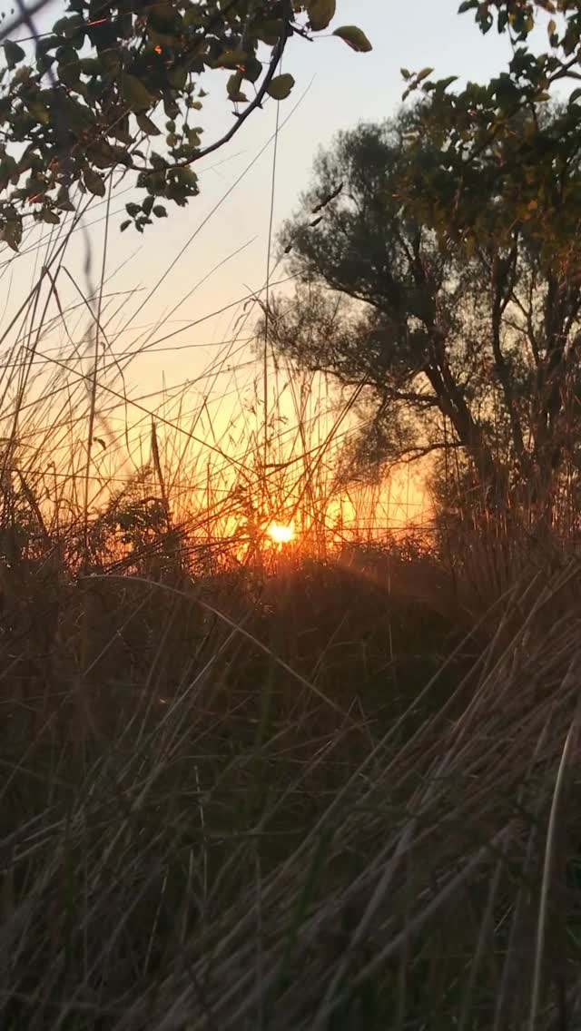 Viele verwechseln Spontaneität mit Leidenschaft – und Planung mit Routine.
Erotische Paare wissen: Rituale sind keine Routinen, sondern Einladungen sich zu begegnen - jenseits von Alltag, Rollen und Ablenkung.
#beziehung #sexualität #intimität #achtsamkeit #paartherapie #sexualtherapie #bewusstebeziehung #nähe #liebe #lust #partnerschaft #achtsamlieben #verbindung #beziehungsthemen #bewusstlieben