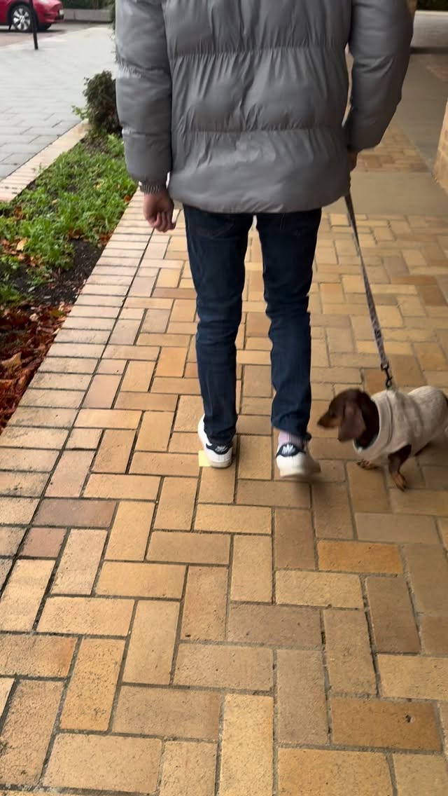 all actors were paid 🫡 🐶
.
.
#londonfoodie #latinfood