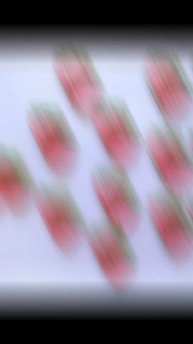 A charming blend of florals and strawberries — perfect for your next garden soirée. 🌸🍓
Thanks to @cakewithamber for this opportunity. So much fun decorating these strawberries and let me tell you, the strawberry cookies tasted so good.
#cookiesbylolli #royalicingcookies #queenslandbakers #giftideas #decoratedcookies #strawberrycookies