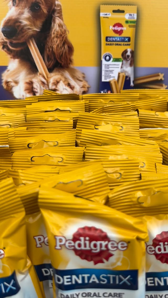 Schaut mal, was uns hier vor ein paar Wochen aus dem Hause @pedigree_deutschland erreicht hat! 😍
Jede Menge Daily Oral Care Dentastix! 🦷
Unsere Kunden waren begeistert von dieser Aktion und die Hunde haben gründlich ihre Zähne geputzt! 😁
Vielen Dank an @pedigree_deutschland 🙏
Eine tolle Aktion, die aufzeigt, dass Mundhygiene auch für Hunde sehr wichtig ist!
Hast du Fragen zu dem Thema Mundhygiene bei Hunden?
Wir freuen uns von dir zu lesen! 😊
#justhelpberlin #hundeschule #dogschool #hundetraining #dogtraining #pedigree #mundhygiene #hundeglück #hundeliebe #hundeleben #dogtrainingclasses #trainingmachtspaß #mambonumber5