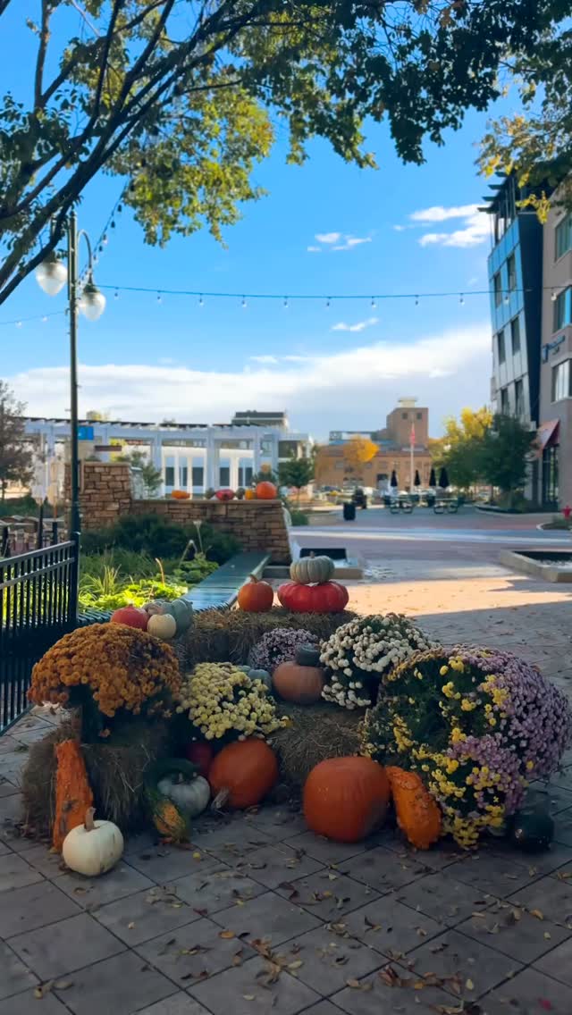 It’s time to fall in love with St. Charles all over again 🍂