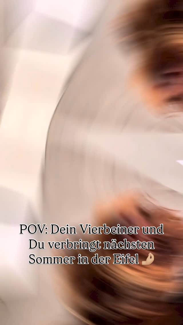Abenteuer, Natur & Pfotenglück. Die Eifel ist wie gemacht für euren nächsten Urlaub! 🐾
Mit über 565 Unterkünften auf Traumhundeurlaub findet ihr garantiert euer perfektes Versteck zwischen Wald und Vulkanseen 🌋💚
Was ihr alles genau dort erleben könnt, erfahrt ihr in unserem neuen Blogbeitrag. Link in BIO! 👀
#UrlaubMitHund #EifelLiebe #HundeAbenteuer #traumhundeurlaub #dogsofinstagram #hundeglück #urlaubmithund #reisenmithund