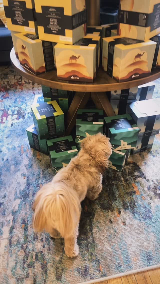 Earl is getting a head start on his holiday shopping! 🎁 Don’t worry, he’s not buying ALL the Davines gift boxes. There are still some left for you! 😘
.
.
.
#holiday #holidaygift #holidayshopping #davines #davinesnorthamerica #davinesgiftbox #giftboxideas #davinesholiday #westernmass #northamptonma