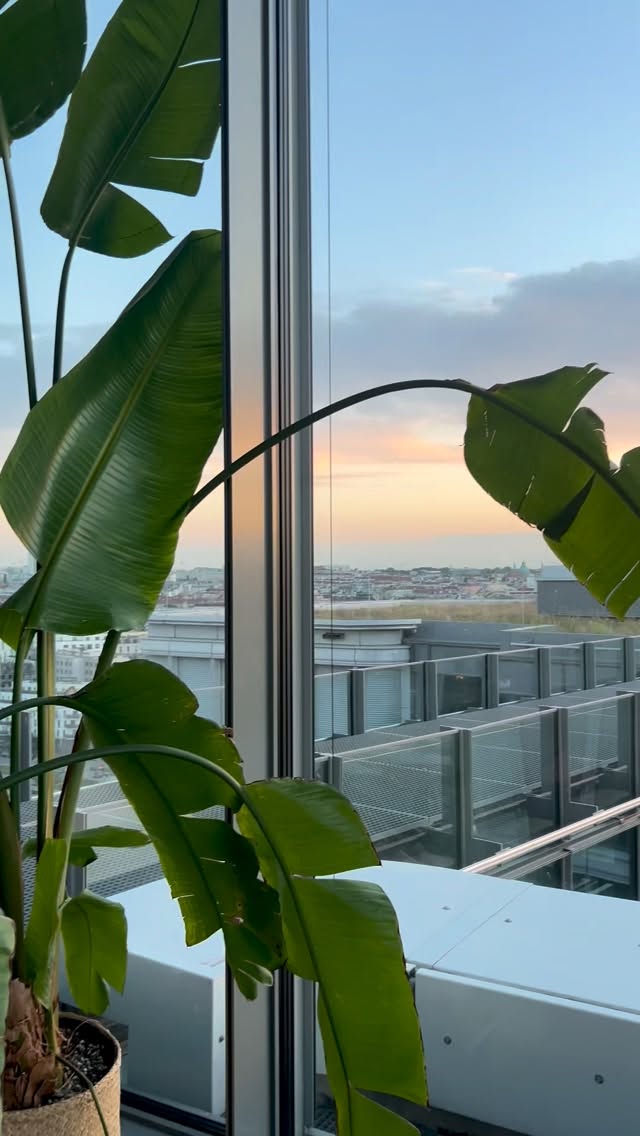 Any weekend plans? 🌆✨ How about a cozy night at the Aurora Rooftop Bar? Enjoy handcrafted cocktails, breathtaking city views, and a warm atmosphere that’s perfect for unwinding. Whether you’re catching up with friends or just treating yourself to a little ‚me time‘ — this is your weekend escape. 💫
#AuroraNights #RooftopVibes #WeekendMood