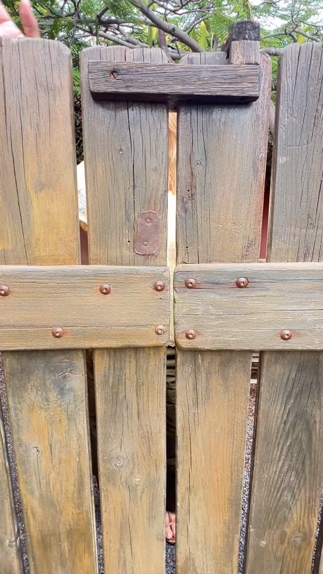 Into the wild @by.elote