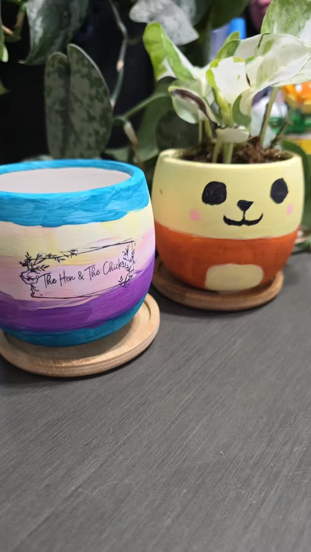 I hosted my first of hopefully many paint/sip and plant events tonight and it was a hit! everyones pots were so cute and we had a great time!! ❤️🥹
If youd like to host one feel free to reach out! I bring everything to you! 🤗❤️
#thehenandthechick #smallbusiness #greenhouse #plants #plantsofinstagram #tropicalplants #pottery #painting