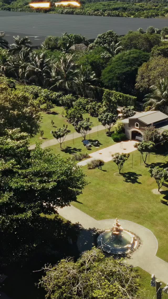 Yesterday was truly a special day ✨—
Shyanne & Alexandree🖤
a celebration filled with love, emotion, and unforgettable moments. As a wedding filmmaker, it’s a privilege to capture memories that will forever stay in our hearts.
Congratulations to the beautiful couple and the amazing team of vendors who made it all possible! 🖤🎞️🎬
Couple : @shyyannexox @iam.alexlee
Film @byhcfilms
Wedding planner @teighscoordinating
Photo @sushdigitalmedia
Content creator @thebridalarchives
Dj: @visiondjs
VENUE: @cincofarmmiami
Make up: @glambydeya_
Violinist: @musicwithruthy