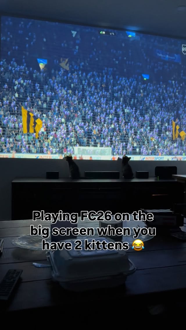 Life with kittens lol 😺❤️