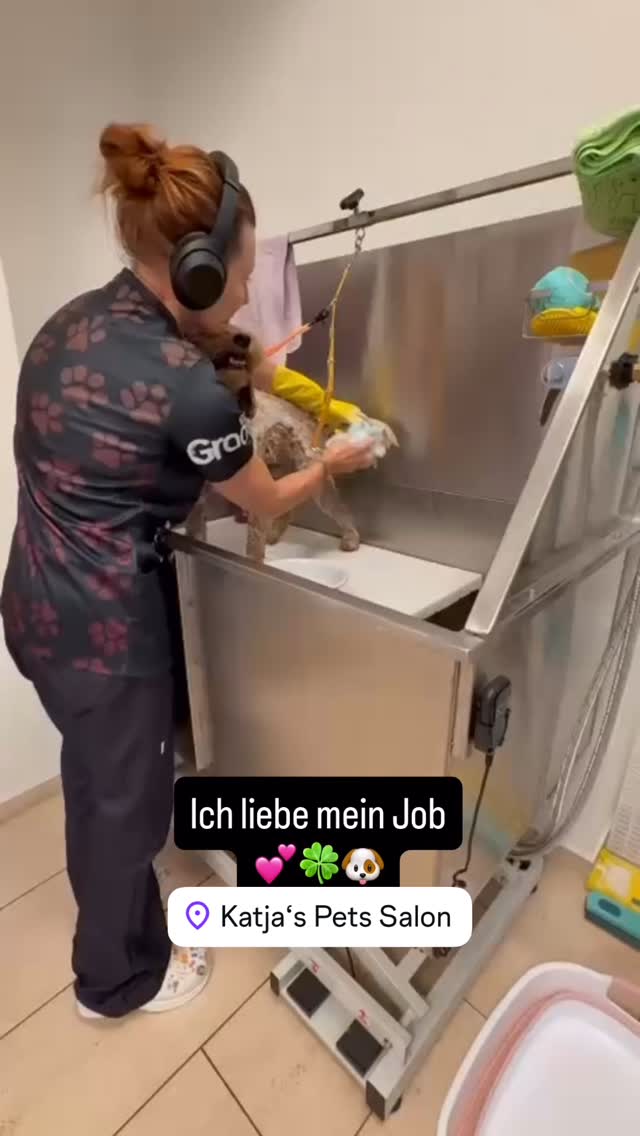 #grooming #luzern #hundesalon #maltese #hundesalonluzern #pudel #pomeranian #schweiz #labradoodle
