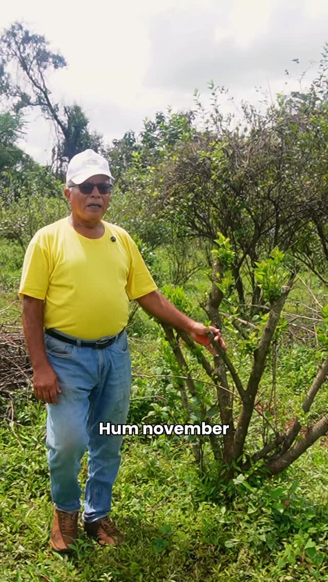It’s mulberry season at The Farm Retreat!
Drop by between November and May to pluck, eat, and pack some to take home.
Bring your friends, family, or just yourself, there’s plenty of sunshine, laughter, and berry-stained joy to go around.
mulberry fest, farm retreat, berry picking, pluck and eat, fresh berries, farm fun, nature day, sweet season, family time, weekend plan, countryside, farm life, outdoor day, slow living
#farmstagram #farmlife #freshberries #berrypicking #pluckandeat #farmretreat #organicliving #natureday #weekendgetaway #naturelovers #farmstay #farmfresh #hiddengetaways #travelindia #thingstodo #outdoorfun #berryseason