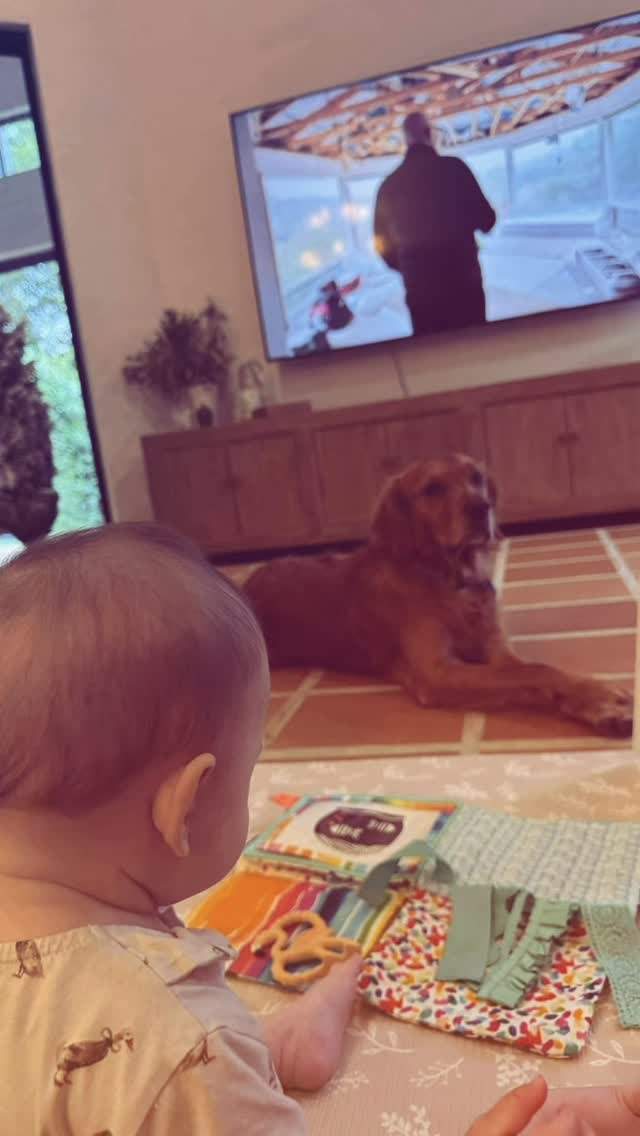 ‘Your dogs aren’t good with young kids.’ — said no one who’s met ours.
I rarely share owners’ family pics out of respect, but a close friend gave me the green light to show their gorgeous boy with his best mate.
Chest out moment. So proud of what we breed at Active Goldens—gentle, steady, kid-safe companions.
#UKFieldGoldens #activgoldens #TrainDontRestrain