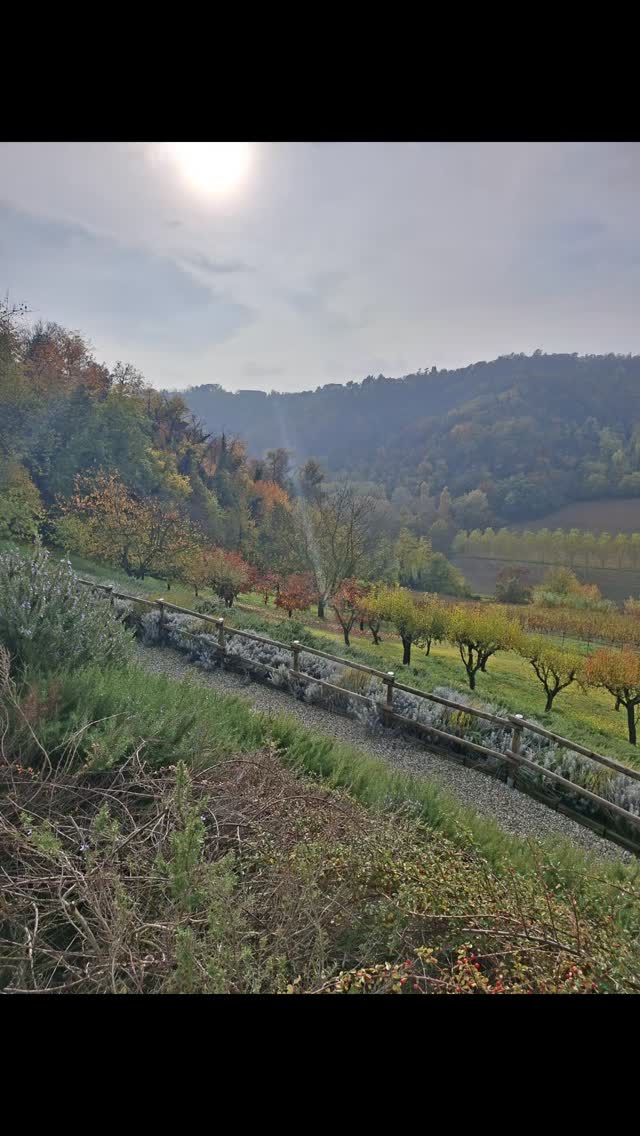 Autumn views.
#monferratounesco
#monferrato
#tourism
#italia
🎈Villa Rocco Country House.
Ozzano Monferrato.
🌐https://www.villarocco.com/
📱3455849222