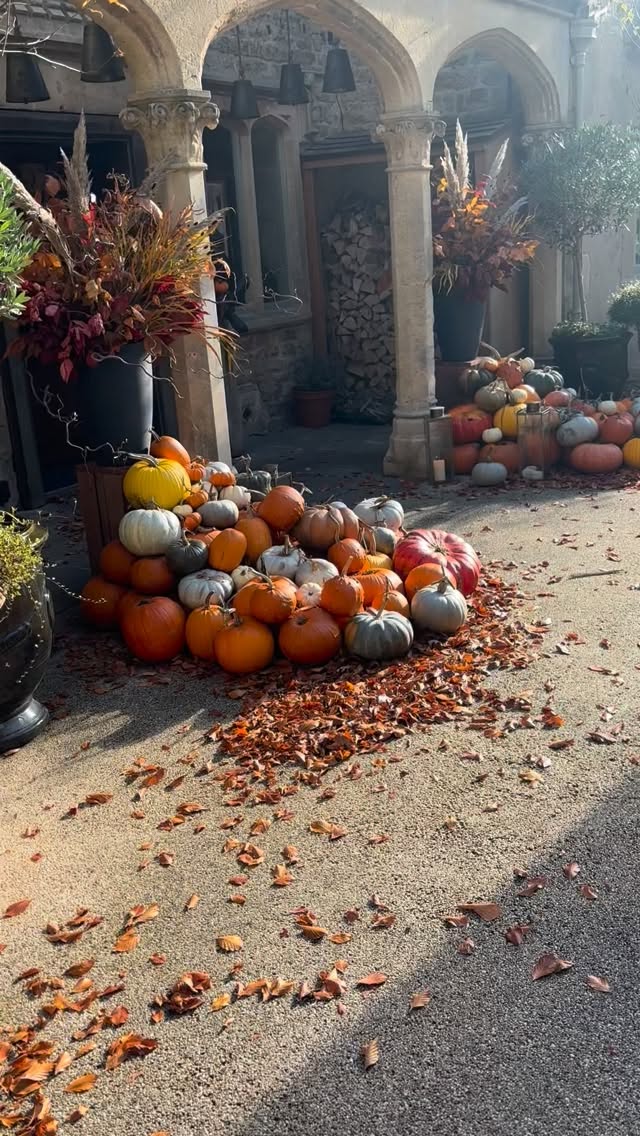 With leaves 🍂 falling in the sunlight today, it felt very much like autumn 🍂
@homewoodbath pumpkins 🎃 on point