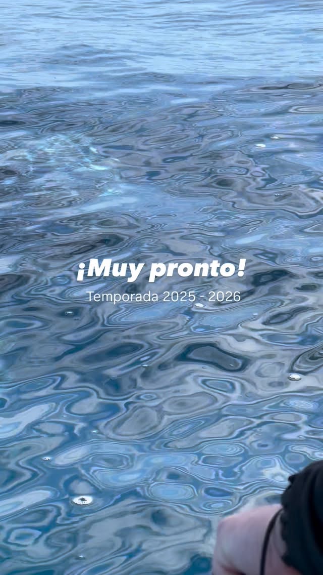 🐋💙 ¡Muy pronto llegan las ballenas jorobadas! Damos inicio a la temporada 2025–2026 de avistamiento 🌊✨
Estamos demasiado emocionadas, soñando con días como este 😍 momentos únicos donde las ballenas se acercan tanto que nos dejan sin palabras. No pasa todos los días… ¡pero cuando sucede, es pura magia! ✨
📍Cabo San Lucas, México
#WhaleWatching #CaboSanLucas #WhaleSeason #HumpbackWhales #BajaMagic #NatureLovers #WhaleVibes #VisitBaja #AdventureAwaits