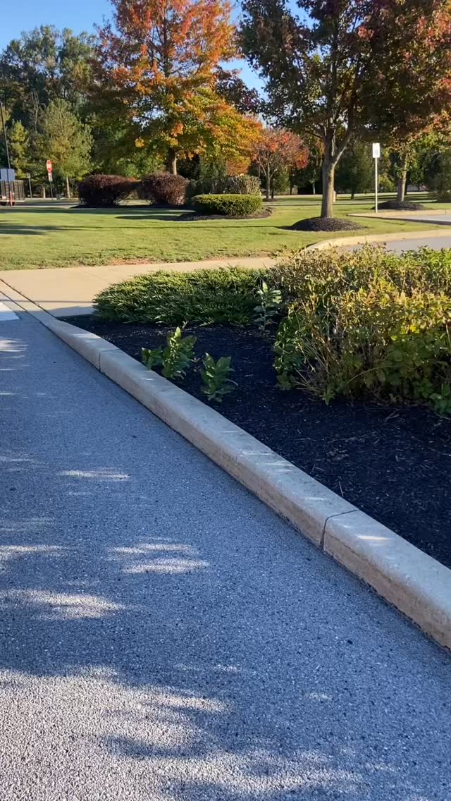 Fresh new look ππ Plants from @spring_run_farm #willspropertymaintenance #wpm #Landscaping #Landscaper #LandscapingReel #SatisfyingReel #BeforeAndAfter #TransformationReel #SatisfyingLandscaping #OutdoorMakeover #CurbAppeal #lawncare #treecareindustry #LandscapeDesign #YardTransformation #GreenIndustry #CleanCut #WorkOfArt #avongrove #downingtown #chestercounty #freshlook #NatureVibes #ReelLandscaping