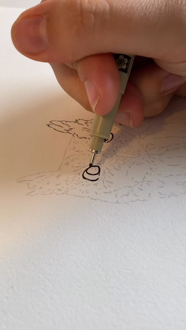 Watch this owl come to life ready to welcome Halloween night!
#grimms_illustrations #halloween #illustration #kidlitart #kidlit #childrensbook #spooky #ink